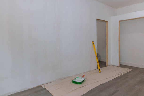 Best Mold Damage Restoration  in Powell, AL