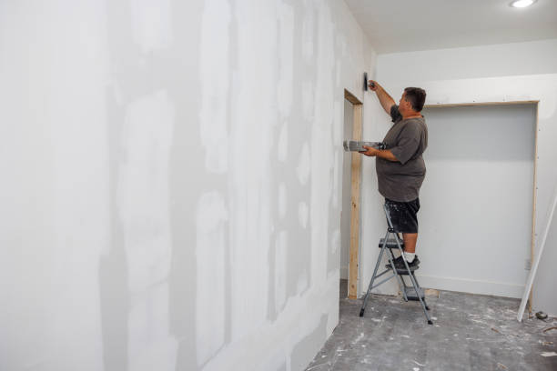 Best Forensic Mold Investigation  in Powell, AL